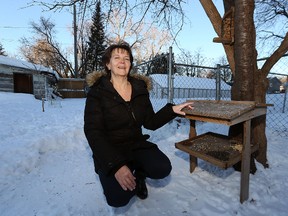Debra Belcourt poses with bird feeders in her St. James backyard on Mon., Jan. 16, 2017. Belcourt was told to keep her yard clean but that the feeders could stay after she appealed a city order on Monday. Kevin King/Winnipeg Sun/Postmedia Network
