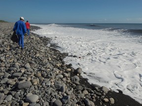 In this Aug. 10, 2015, file photo, municipal workers search Reunion Island beaches where expected debris of the missing Malaysia Airlines Flight 370 could be washed up onto the shore near Saint-Andre, on the French Island of Reunion. While search crews spent years trawling in futility through a remote patch of the Indian Ocean for the missing Malaysia Airlines Flight 370, people wandering along beaches on the other side of the ocean began spotting debris that washed ashore. Those pieces provided key information and raised questions whether Malaysia, Australia and China - who funded the hunt for the underwater wreckage - missed key opportunities by failing to organize coastal searches for plane parts. (AP Photo/Fabrice Wislez, File)