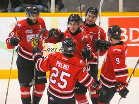 Attack teammates celebrate Marcus Phillips' second goal in the first period during Ontario Hockey League action against the Sarnia Sting at the Lumley Bayshore in Owen Sound, Ont. on Saturday, January 14, 2017. (JAMES MASTERS, Postmedia Network)