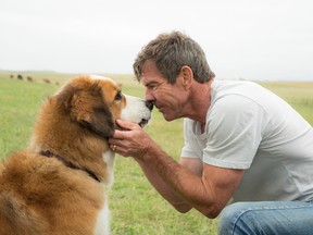 This image released by Universal Pictures shows Dennis Quaid with a dog, voiced by Josh Gad, in a scene from "A Dog's Purpose." A spokesman for American Humane said Wednesday, Jan. 18, 2017 that it has suspended its safety representative who worked on the set of the film when a frightened German shepherd, not shown, was forced into churning waters. (Joe Lederer/Universal Pictures via AP)