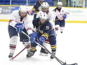 Shaylene Pelltier-Restoule of the St. Charles Cardinals battles for the puck with Joelle Gagnon of the Notre Dame Alouettes during a battle for first place in the girls high school hockey league in Sudbury, Ont. on Thursday January 19, 2017. Notre Dame defeated St. Charles 3-2 to remain undefeated on the season and in first place.Gino Donato/Sudbury Star/Postmedia Network