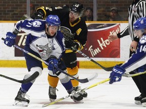 Dave Dale / Postmedia / The Nugget
Sudbury Wolves centre David Levin (71) beats North Bay Battalion Brett McKenzie on a faceoff with Wolves winger Owen Lane (14) taking control of the puck during the second period of OHL action at Memorial Gardens, Thursday. North Bay celebrated its former Centennials franchise roots with a 6-3 win over the Wolves.