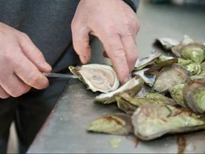 AHS is issuing a warning after logging 10 cases of stomach illness linked to raw oysters. SUNMEDIA