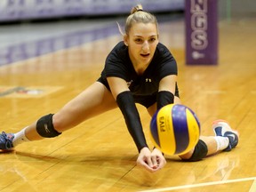 Western Mustangs libero Courtney Sestric works on her digs during a women?s volleyball team practice at Alumni Hall on Friday. The Mustangs put their undefeated OUA record on the line in a pair of matches this weekend, Saturday at McMaster and Sunday at Brock.  (MIKE HENSEN, The London Free Press)