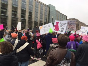 Gena Brumitt, of London, took these photos as one of the more than half-million people from around the world taking part in the women’s march for human rights in Washington on Saturday, January 21.