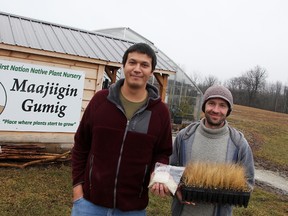 Kyle Williams and Shawn McKnight pose with rough dropseed seeds and grass outside the Maajiigin Gumig greenhouse in Aamjiwnaang Monday. The greenhouse helps cultivate and distribute native plant species. (Tyler Kula/Sarnia Observer/Postmedia Network)