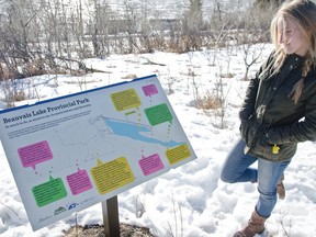 Jillianna Hammond reviews the new interpretive sign that she helped design with her Grade 10 English class. The new interpretive sign stands on the trails of Beauvais Lake Provincial Park and it is the first new sign in “I don’t know how long,” Beauvais Lake’s visitor services supervisor Heidi Eijgel said. | Caitlin Clow photo/Pincher Creek Echo