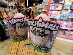 Hatchimals, the fuzzy interactive toy that hatches out of an egg, were the must-have toy this Christmas. (Rafe Arnott/Postmedia Network)