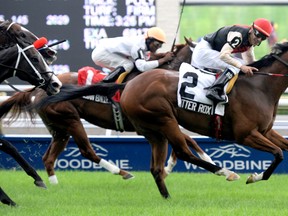 Veteran Woodbine jockey Gerry Olguin retired after winning his 2,000th race at Golden Gate on Jan 15. (Michael Burns/photo)