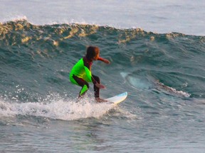In this photo from Jan. 24, 2017, provided by Chris Hasson, 10-year-old Eden Hasson, Chris' son, surfs near what is believed to be a great white shark at Samurai Beach, Port Stephens, Australia. James Cook University shark researcher Andrew Chin says the photographed shark is possibly a small great white. (Chris Hasson via AP)