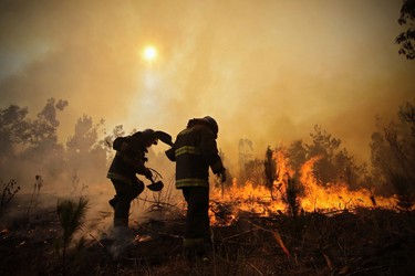 Firefighters dig trenches in a effort to stop the advancement of a forest fire in Hualañe, a community in Concepcion, Chile, Wednesday, Jan. 25, 2017. The worst forest fires in Chile's history were uncontrolled on Wednesday, killing a firefighter and two policemen caught in the flames as they tried to help families in rural communities, authorities said. (Alejandro Zoñez/Aton via AP)