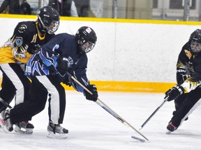 Mitchell U19 Stinger defenders Cassandra Van Bakel (left) and Mariah Looby (59) battles for the ring with Goderich’s Kendra Menchenton (17) during Western Ringette Regional League (WRRL) action Jan. 24 in Mitchell. The Stingers jumped out to a 4-0 halftime lead and cruised to a 7-2 victory. ANDY BADER MITCHELL ADVOCATE