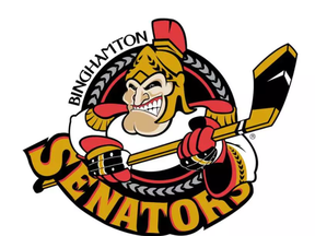 Binghamton Senators logo