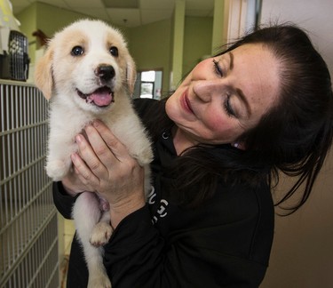 Joan Znidarec ( President of Dog Rescuers Inc. ) holds "Cupid" on his visit to the vets on Wednesday February 1, 2017.  Cupid was born with two hind legs and was found  tied up in a garbage bag and left in a dumpster. Craig Robertson/Toronto Sun/Postmedia Network