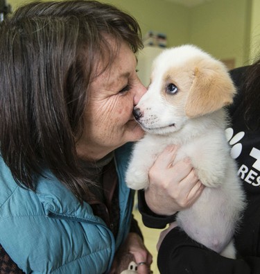 Joan Znidarec (R) (President of Dog Rescuers Inc.) holds "Cupid" and Cupids foster mom Linda Therriault gets a nuzzle on Wednesday February 1, 2017.  Cupid was born with two hind legs and was found  tied up in a garbage bag and left in a dumpster. Craig Robertson/Toronto Sun/Postmedia Network