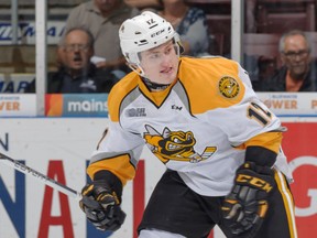 Lively's Jacob Stos heads up ice for the Sarnia Sting earlier this season. Stos will make his first visit to Sudbury Community Arena as a member of the Sting this Friday.  Metcalfe Photography