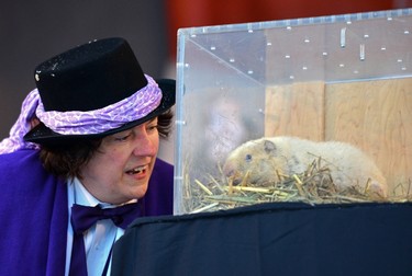 South Bruce Peninsula Mayor Janice Jackson confers with Wiarton Willie as the the albinio groundhog makes his annual midwinter weather prediction in Wiarton Ontario, Tuesday Feb. 2, 2017.  (THE CANADIAN PRESS/Willy Waterton)