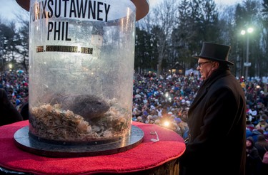 Punxsutawney Phil saw his shadow predicting six more weeks of winter during 131st annual Groundhog Day festivities on February 2, 2017 in Punxsutawney, Pennsylvania.  (Jeff Swensen/Getty Images)
