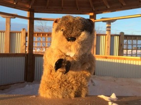 Manitoba Merv, Oak Hammock March, Ground Hogs Day