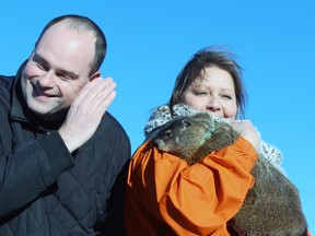 Brigden Public School principal Chad Brown, left, learns that Oil Springs Ollie, being held by Peggy Jenkins of Heaven’s Wildlife Rescue, saw his shadow on Thursday February 2, 2017 in Sarnia, Ont. Ollie's Groundhog Day announcement means six more weeks of winter. (Terry Bridge/Sarnia Observer)