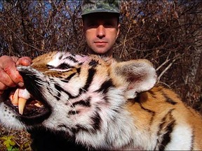 Evgeniy Romanov, who killed six endangered Siberian tigers and 46 Himalayan bears, escaped jail time but was given a whopping $180,000 fine. (WWF RUSSIA/PHOTO)