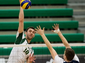 University of Alberta Golden Bears' Taylor Arnett (10) battles the Mount Royal Cougars' Scott Gieske (12), at the Saville Centre in Edmonton Saturday Feb. 4, 2017.