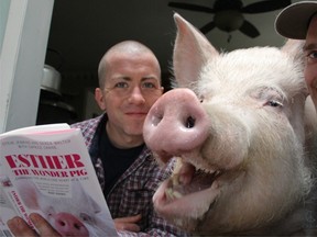 Derek Walter, from left, Esther and Steve Jenkins give a quick read of Esther's book "Esther the Wonder Pig; changing the world one heart at a time." (Supplied photo)