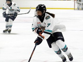 Defenceman Kaitlyn Isaac of Wallaceburg plays in the Provincial Women's Hockey League with the Bluewater Hawks. (Contributed Photo)