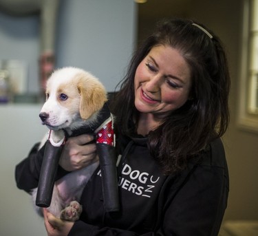 Joan Znidarec holds Cupid, a puppy born without front legs and found abandoned in a dumpster recently, as it receives a new set of prosthetic legs at Pawsability in Toronto, Ont. on Thursday, February 9, 2017.  Ernest Doroszuk/Toronto Sun