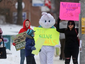 A small group of anti-fur activists gathered in Osborne Village, in Winnipeg, today. One of them was dressed as a giant bunny. Saturday, February 11, 2017. Sun/Postmedia Network