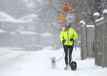 A man named Matt with his two dogs in Moore Park during a Sunday morning snowfall on Sunday February 12, 2017. Michael Peake/Toronto Sun/Postmedia Network