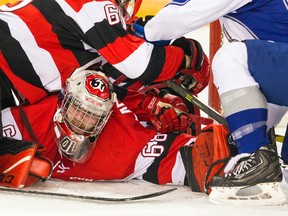 Players pile on 67’s goalie Olivier Lafreniere during yesterday’s game against the Sudbury Wolves. (ASHLEY FRASER/Postmedia Network)