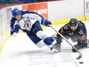 Brady Pataki, left, of the Sudbury Wolves, and Cameron Lizotte, of the Barrie Colts, battle for the puck during OHL action at the Sudbury Community Arena in Sudbury, Ont. on Friday September 30, 2016. John Lappa/Sudbury Star/Postmedia Network