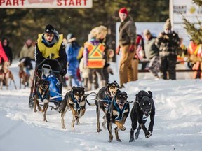 Blyth resident Luke Siertsema dog sledding. (Photo courtesy of Cindy Lottes)