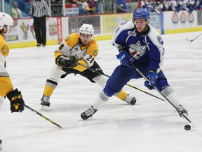 Kelton Hatcher, middle, of the Sarnia Sting, attempts to knock the puck away from David Levin, of the Sudbury Wolves, during OHL action at the Sudbury Community Arena in Sudbury, Ont. on Friday, February 3, 2017. John Lappa/Sudbury Star/Postmedia Network