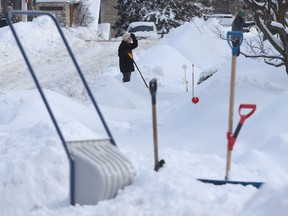 Ottawa residents on Bower Street try and dig out.
