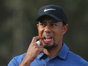 In this Feb. 2, 2017 photo, Tiger Woods reacts on the 11th hole during the first round of the Dubai Desert Classic golf tournament in Dubai, United Arab Emirates. (AP Photo/Kamran Jebreili)