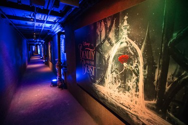 Many of the posters on display in the enchanted tunnel at the Beauty and the Beast  exhibit at Casa Loma  on Thursday February 16, 2017. The exhibit runs this family day weekend. Craig Robertson/Toronto Sun/Postmedia Network