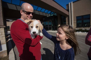 Hannah Rooney, 9, a junior volunteer at The Dog Rescuers, pets Cupid - held by her dad Dave Rooney outside of a banquet hall in Oakville, Ont. on Saturday February 18, 2017. Cupid was was born without front legs and left for dead in a dumpster. Ernest Doroszuk/Toronto Sun/Postmedia Network