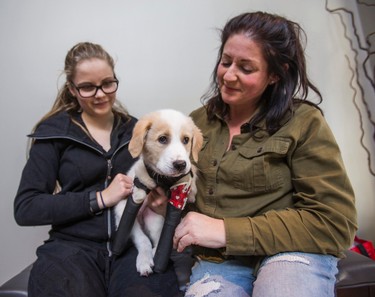 Joan Znidarec, of The Dog Rescuers (right) along with volunteer Tori Rooney, 16, pose for a photo with Cupid at the lobby at a banquet hall in Oakville, Ont. on Saturday February 18, 2017. Cupid was was born without front legs and left for dead in a dumpster. Ernest Doroszuk/Toronto Sun/Postmedia Network