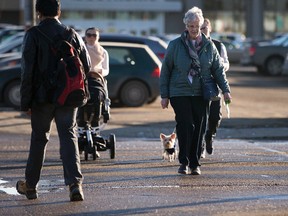 Nina Bjur walks across the street at the corner of 110 Street and 51 Avenue on Wednesday February 15, 2017 in Edmonton. Greg Southam / Postmedia