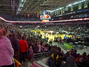 A large crowd on Family Day stands for the national anthem at Budweiser Gardens before the NBL game between the London Lightning and Halifax Hurricanes. Budweiser Gardens made the city more than expected in 2016. (MIKE HENSEN, The London Free Press)