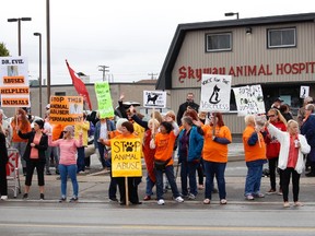 Protesters gathered in large numbers outside Skyway Animal Hospital on Welland Avenue in St. Catharines on Saturday Oct. 1, 2016 where St. Catharines veterinarian Dr. Mahavir Singh Rekhi was caught abusing animals. Karena Walter/St. Catharines Standard/Postmedia Network