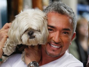 Cesar Millan with Tazo a five-year-old Shih Tzu in 2010. Millan visits Pet Valu during his first Canadian tour. (Craig Robertson/Toronto Sun)