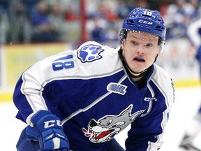 Sudbury Wolves forward Macauley Carson in action against the Mississauga Steelheads in Sudbury, Ont. on Sunday January 15, 2017. Carson scored back to back two-goal games for the Wolves last weekend and has been a go-to player for the Wolves for much of his sophomore season. Gino Donato/Sudbury Star/Postmedia Network