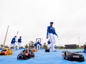 Toronto Blue Jays outfielder Ezequiel Carrera finishes up batting practice during spring training in Dunedin on Feb. 23, 2017. (THE CANADIAN PRESS/Nathan Denette)