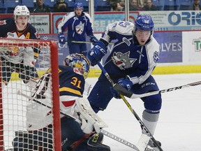 Dmitry Sokolov, right, of the Sudbury Wolves, attempts to bang the puck past Ruan Badenhorst, of the Barrie Colts, during OHL action at the Sudbury Community Arena in Sudbury, Ont. on Friday February 24, 2017. John Lappa/Sudbury Star/Postmedia Network