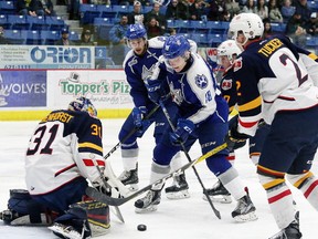 Macauley Carson, middle, of the Sudbury Wolves, attempts to bang the puck past Ruan Badenhorst, of the Barrie Colts, during OHL action at the Sudbury Community Arena in Sudbury, Ont. on Friday February 24, 2017. John Lappa/Sudbury Star/Postmedia Network