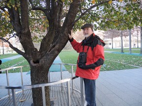 Marilyn Shorthouse/For The Sudbury Star
Joe Shorthouse with his hand on the 9/11 survivor tree transplanted at the site of the former World Trade Twin Towers. It was a moving experience to make contract with the only living thing to survive the attack.