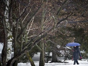 The wet weather kept most people indoors but a few brave souls made their way along the canal path near the Hartwell’s Lock station Saturday.